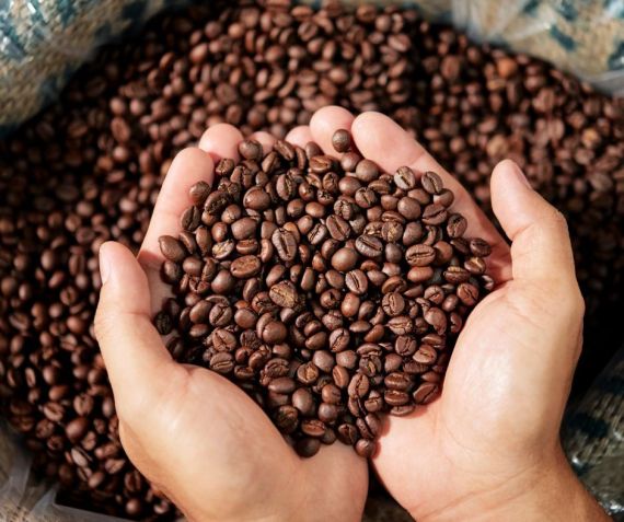 8 praktických rad jak správně uchovávat zrnkovou kávu
