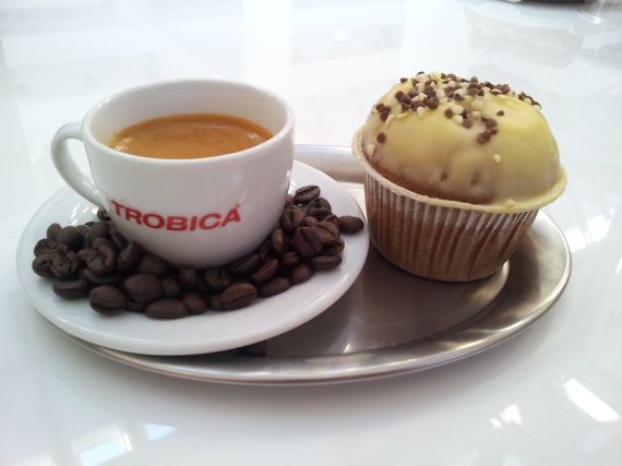 Stručně a výstižně o Trobice